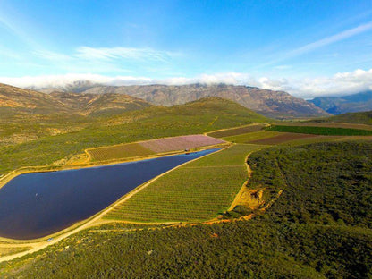 Appelhuis Barrydale Western Cape South Africa Complementary Colors, Mountain, Nature, Highland