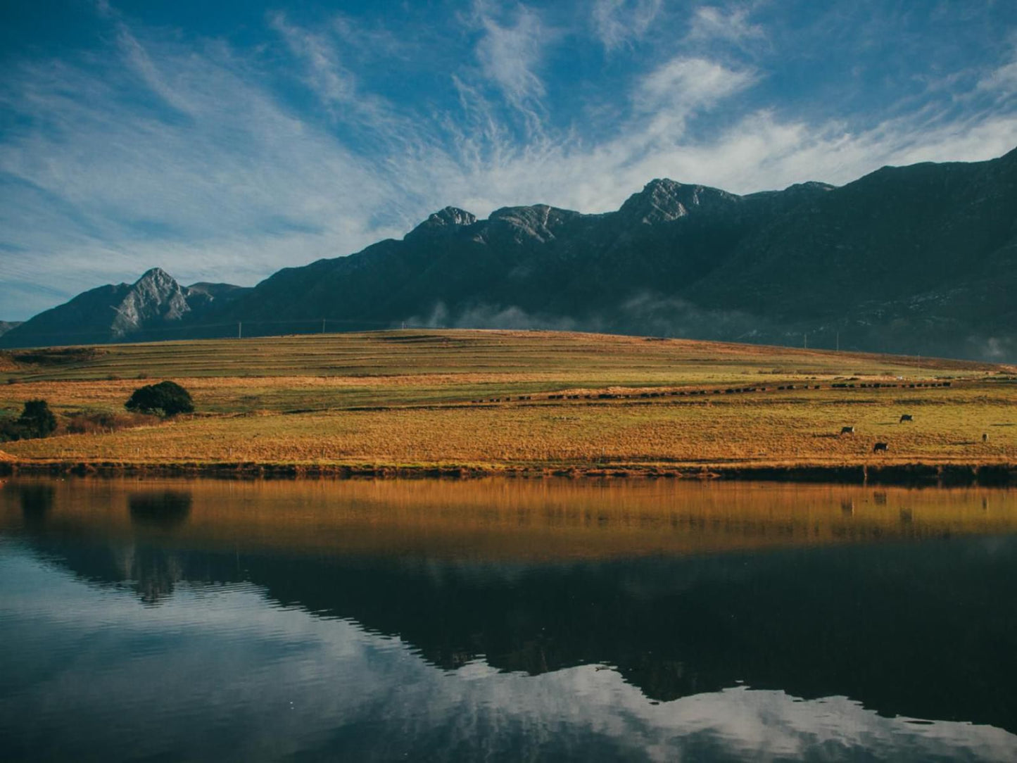 Appelsbosch Guest House Swellendam Western Cape South Africa Mountain, Nature