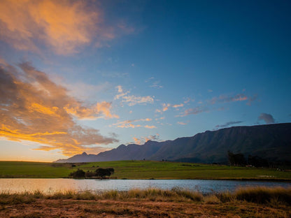 Appelsbosch Guest House Swellendam Western Cape South Africa Complementary Colors, Nature