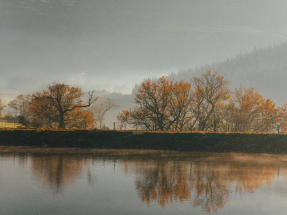 Appelsbosch Guest House Swellendam Western Cape South Africa River, Nature, Waters, Tree, Plant, Wood, Autumn