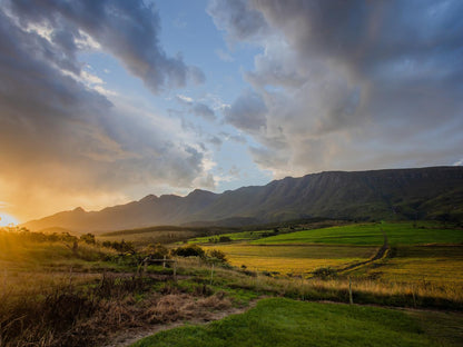 Appelsbosch Guest House Swellendam Western Cape South Africa Mountain, Nature, Highland