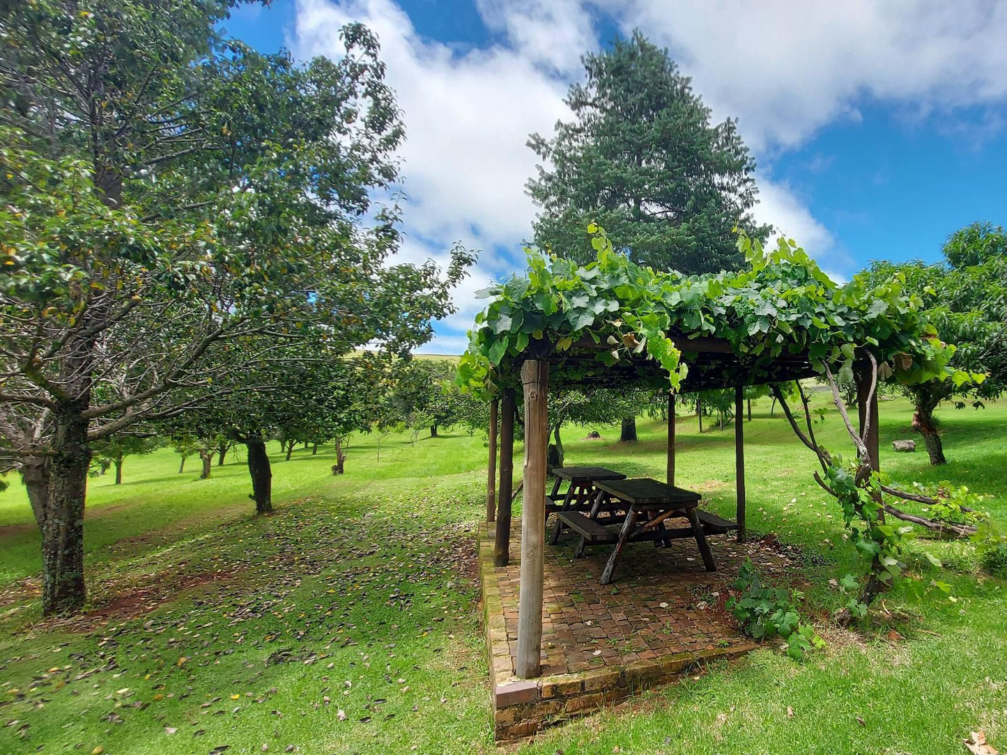 Apple Blossom Cottage Dullstroom Mpumalanga South Africa Tree, Plant, Nature, Wood