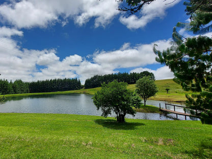 Apple Blossom Cottage Dullstroom Mpumalanga South Africa Complementary Colors, Tree, Plant, Nature, Wood