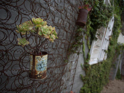 Apple Cottages Camphers Drift George Western Cape South Africa Plant, Nature, Window, Architecture