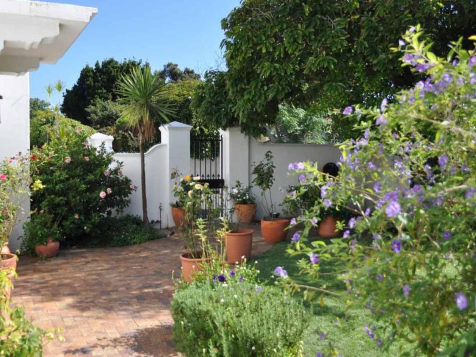 Applegarth Bandb Pinelands Cape Town Western Cape South Africa House, Building, Architecture, Plant, Nature, Garden