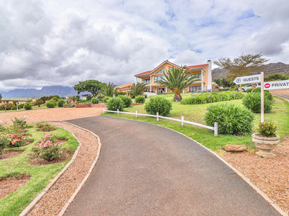 Apricot Gardens Boutique Guesthouse, House, Building, Architecture, Palm Tree, Plant, Nature, Wood