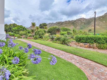 Apricot Gardens Boutique Guest House Gordons Bay Western Cape South Africa Complementary Colors, Palm Tree, Plant, Nature, Wood, Garden