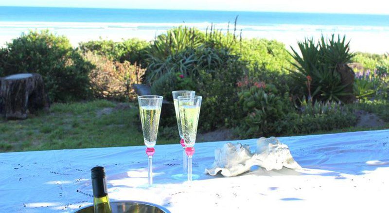 Aqua Blue Mosselbank Paternoster Western Cape South Africa Beach, Nature, Sand, Drink, Food