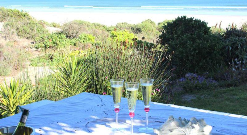 Aqua Blue Mosselbank Paternoster Western Cape South Africa Complementary Colors, Beach, Nature, Sand