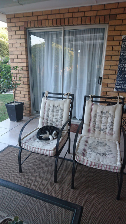 Aquadel Accomodation Bluewater Beach Port Elizabeth Eastern Cape South Africa Cat, Mammal, Animal, Pet