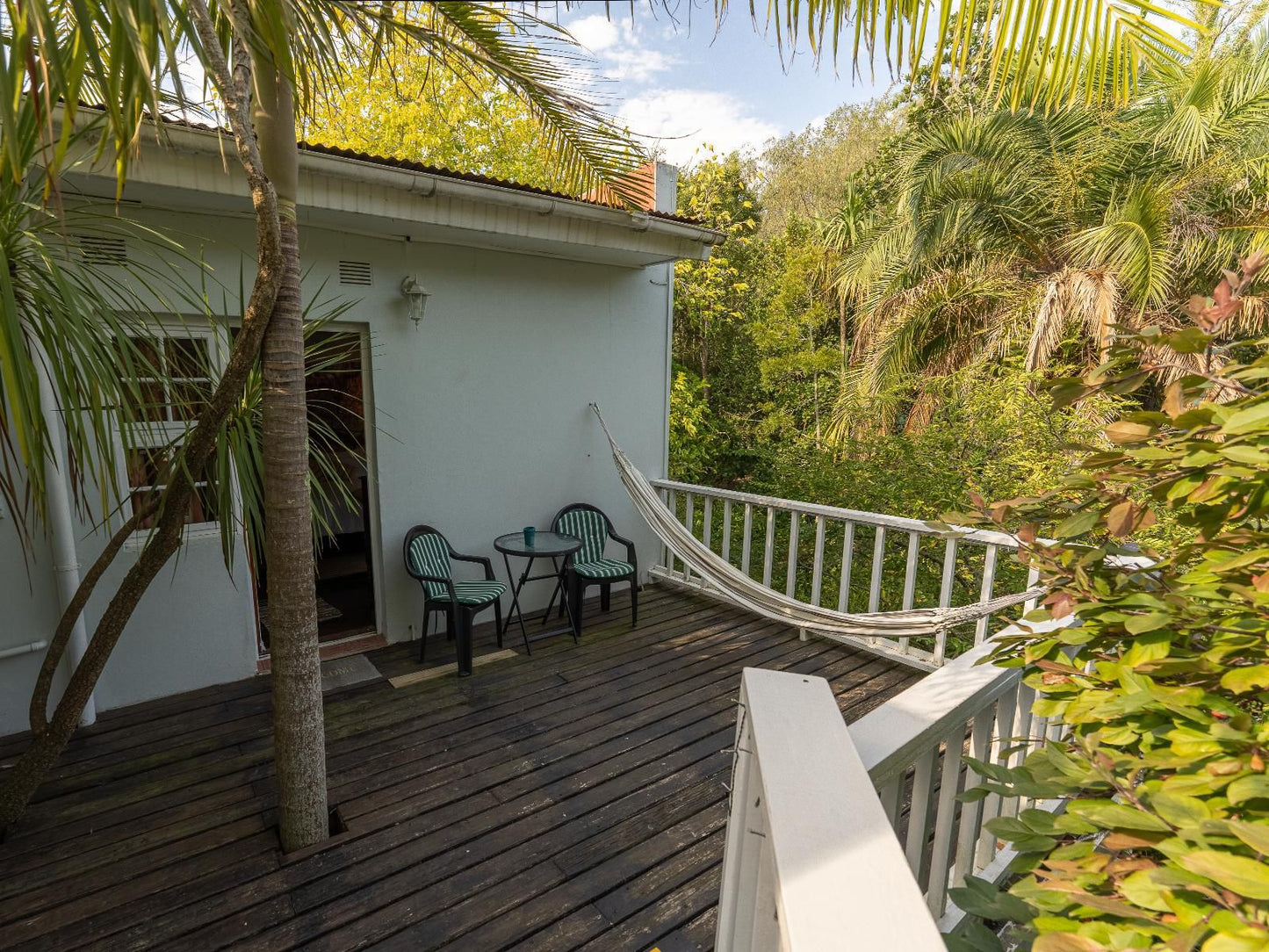 Aquaelberg Place Swellendam Western Cape South Africa Palm Tree, Plant, Nature, Wood