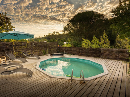 Aquaelberg Place Swellendam Western Cape South Africa Garden, Nature, Plant, Swimming Pool