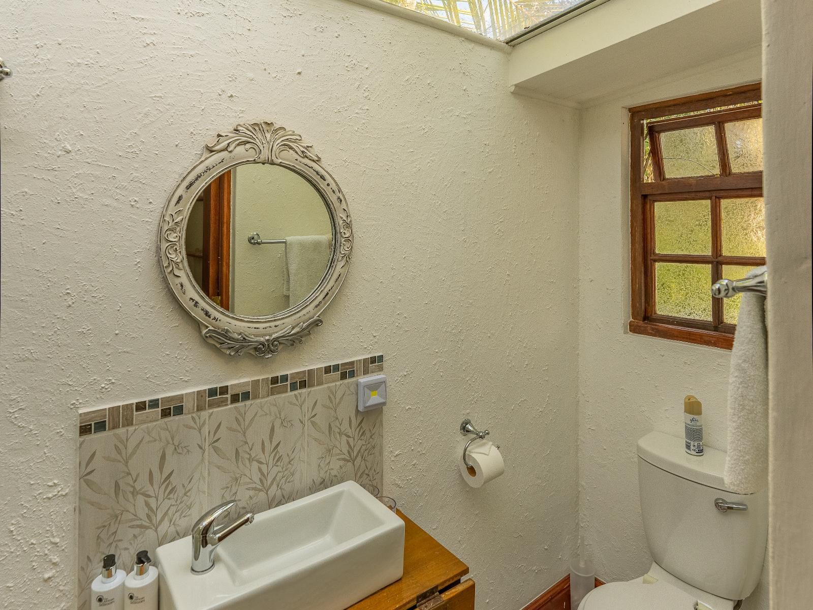 Aquaelberg Place Swellendam Western Cape South Africa Sepia Tones, Bathroom