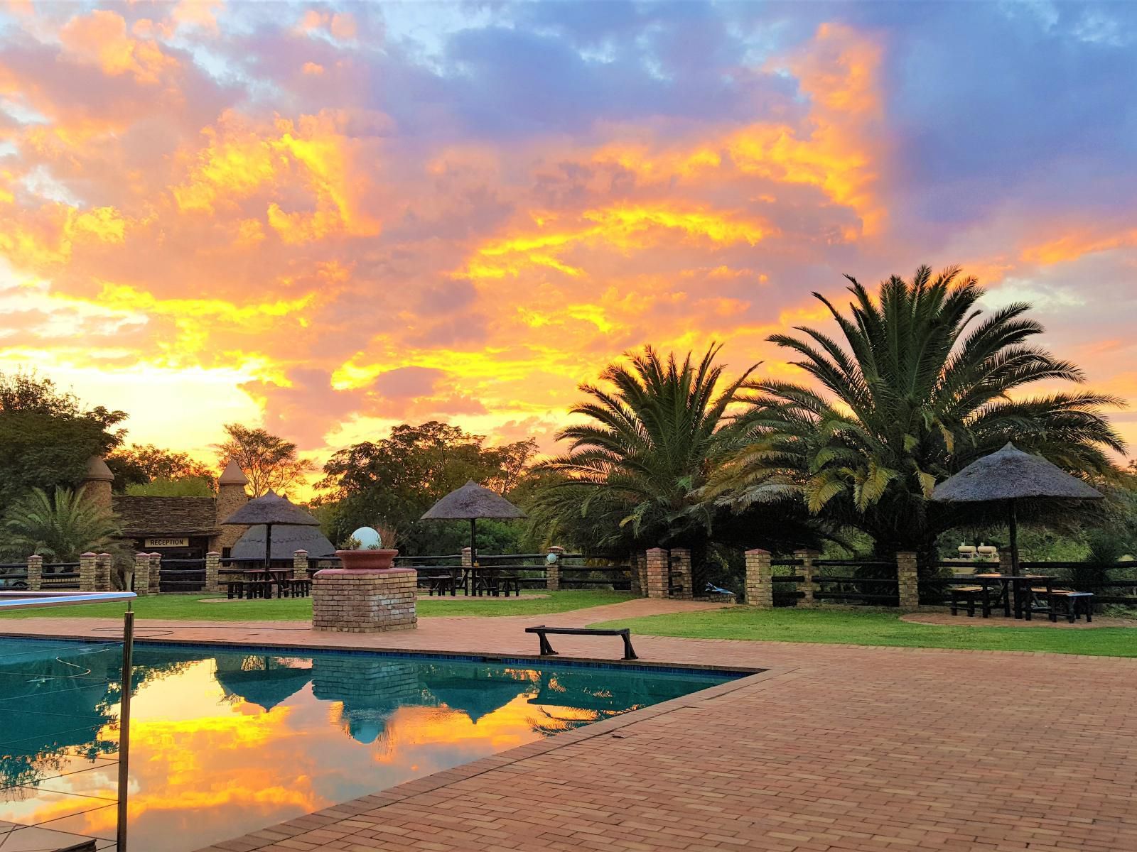 Aquanzi Lodge Chartwell Johannesburg Gauteng South Africa Palm Tree, Plant, Nature, Wood, Sunset, Sky