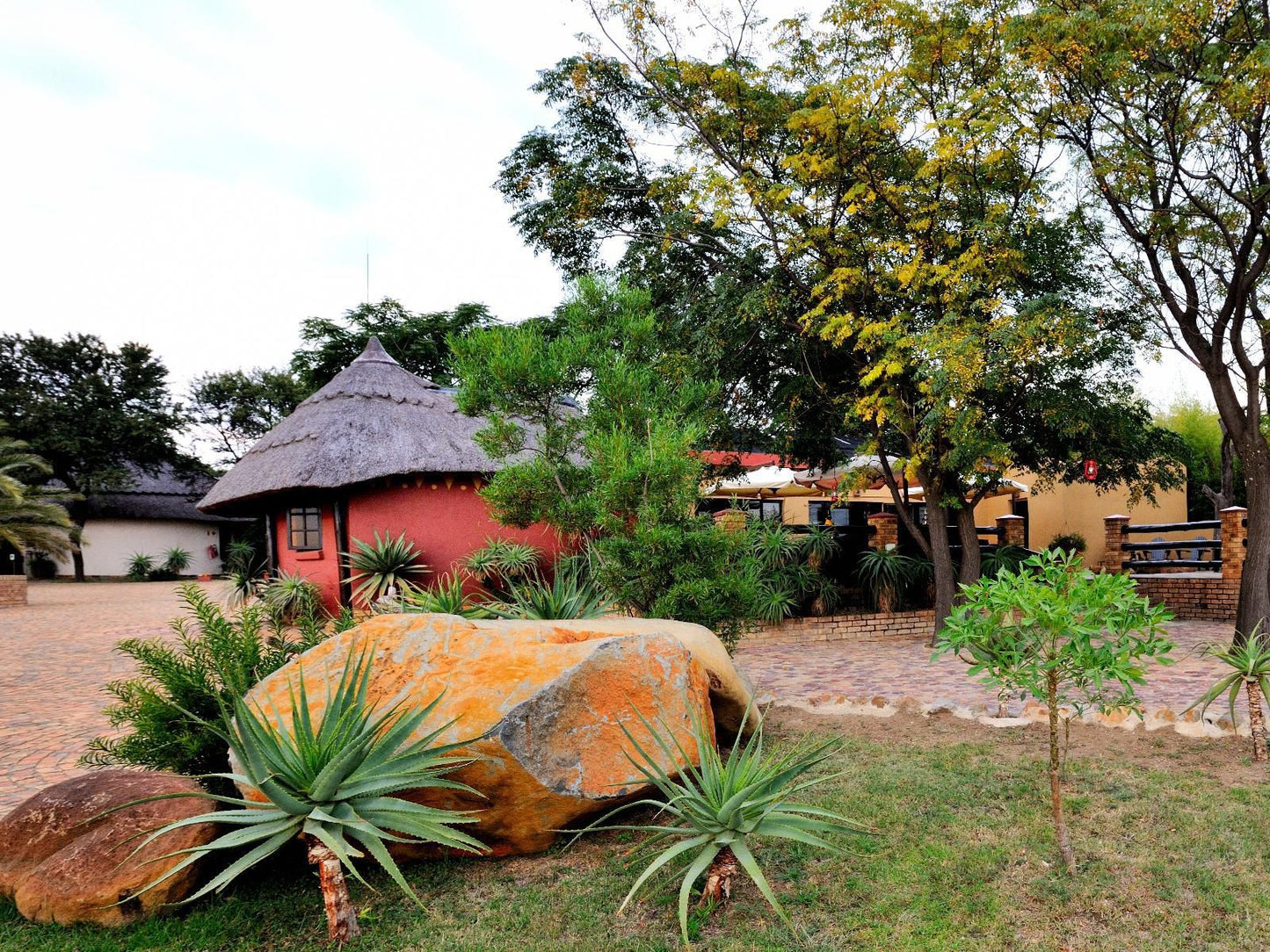 Aquanzi Lodge Chartwell Johannesburg Gauteng South Africa Palm Tree, Plant, Nature, Wood