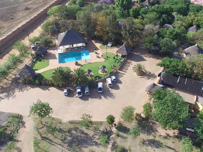 Aquanzi Lodge Chartwell Johannesburg Gauteng South Africa Palm Tree, Plant, Nature, Wood, Swimming Pool