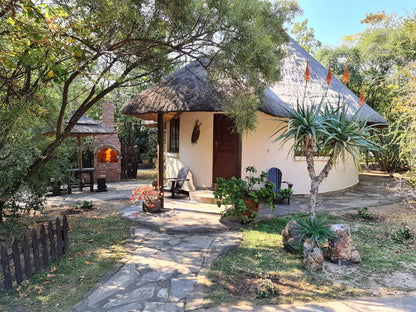 Aquanzi Lodge Chartwell Johannesburg Gauteng South Africa Palm Tree, Plant, Nature, Wood