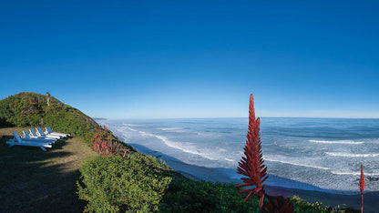 Aquarius Wilderness Western Cape South Africa Colorful, Beach, Nature, Sand