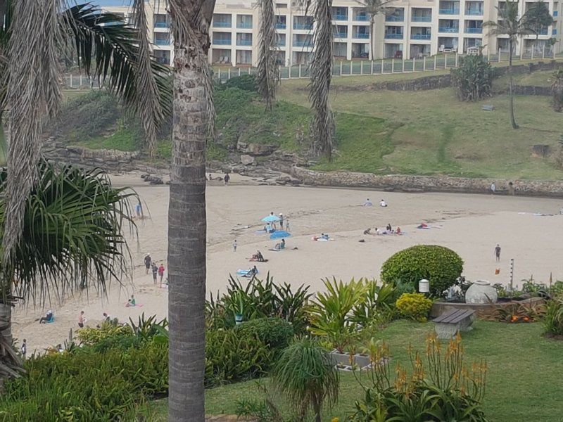 Stunning Uvongo Main Beach Penthouses Uvongo Beach Margate Kwazulu Natal South Africa Beach, Nature, Sand, Palm Tree, Plant, Wood