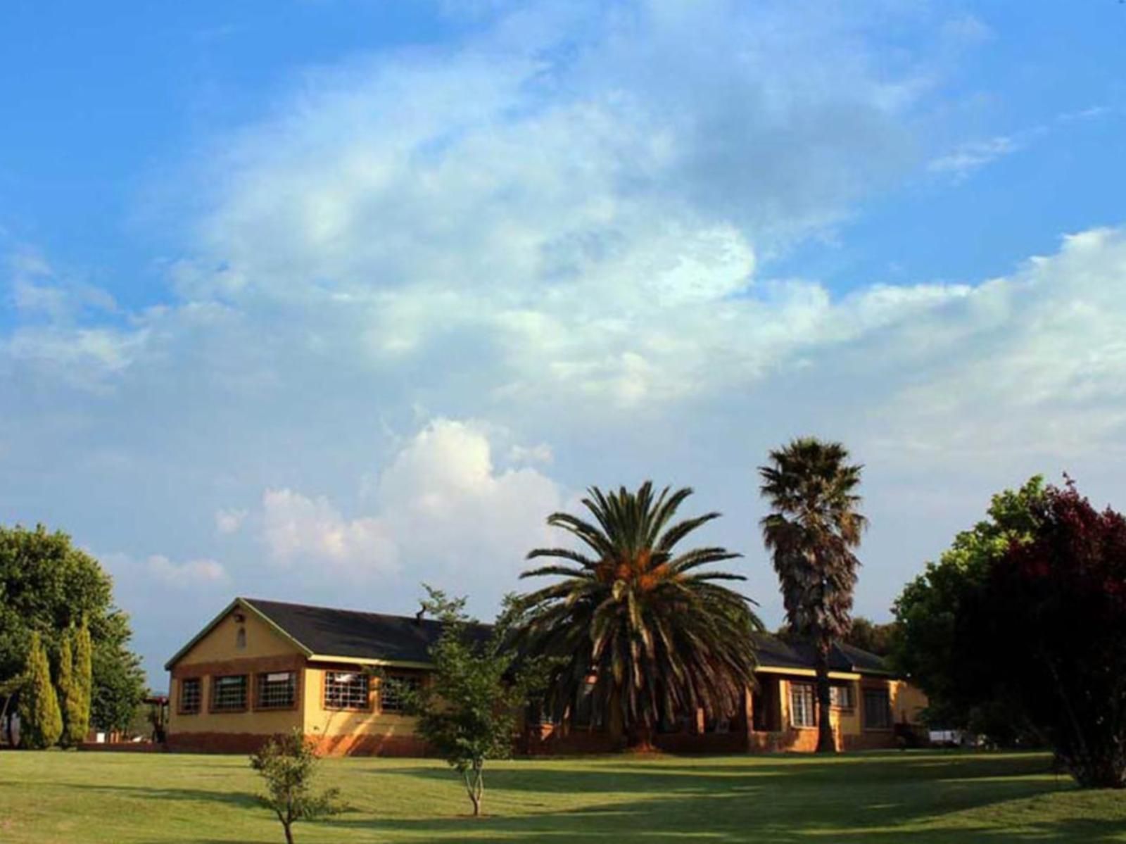 Aqua Terra Guest House Lydenburg Mpumalanga South Africa Palm Tree, Plant, Nature, Wood