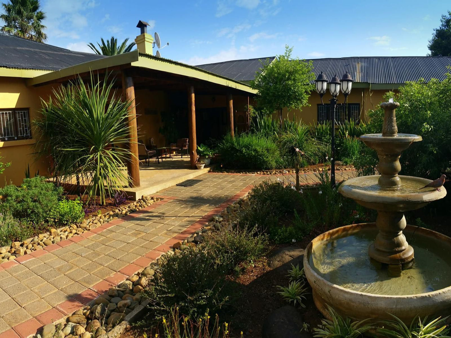 Aqua Terra Guest House Lydenburg Mpumalanga South Africa Plant, Nature, Garden