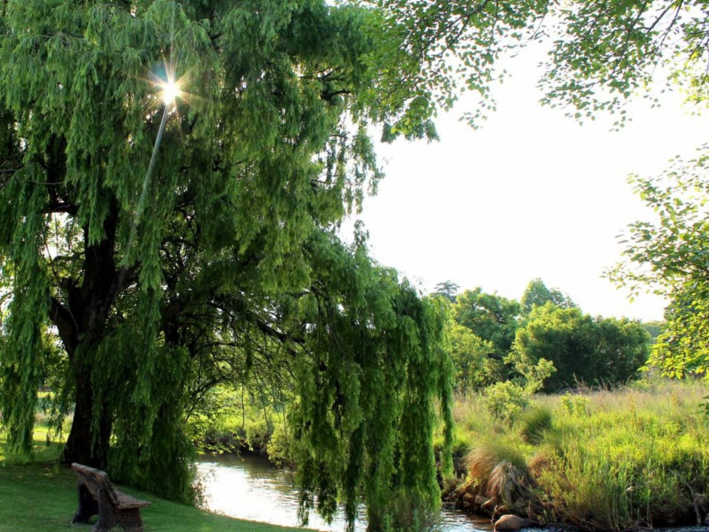 Aqua Terra Guest House Lydenburg Mpumalanga South Africa River, Nature, Waters, Tree, Plant, Wood