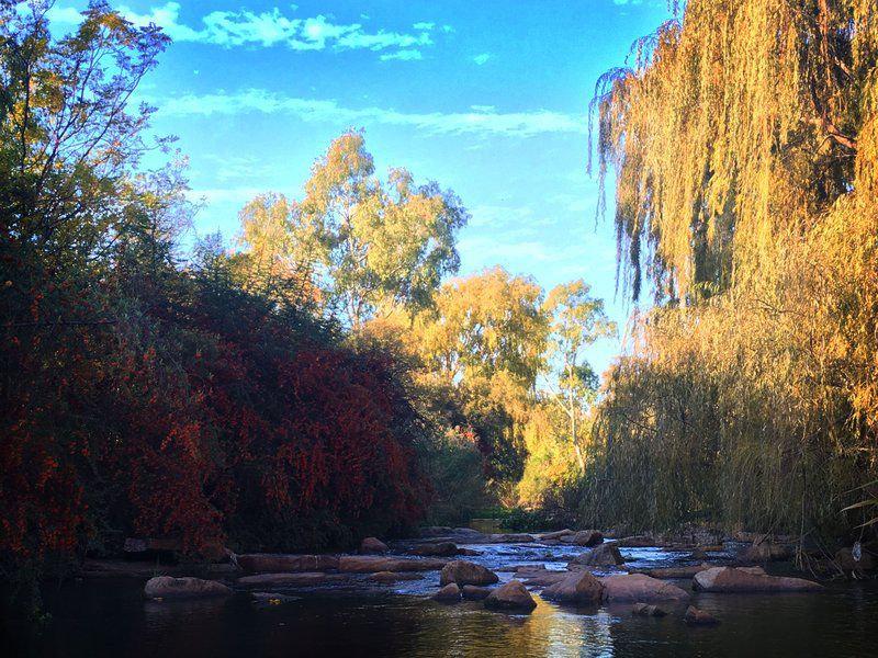 Aqua View Riverside Guest House Parys Free State South Africa Complementary Colors, River, Nature, Waters, Tree, Plant, Wood, Autumn