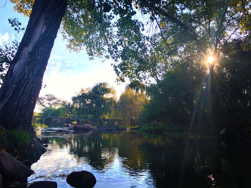 Aqua View Riverside Guest House Parys Free State South Africa River, Nature, Waters, Tree, Plant, Wood