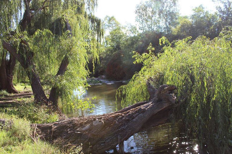 Aqua View Riverside Guest House Parys Free State South Africa River, Nature, Waters, Tree, Plant, Wood