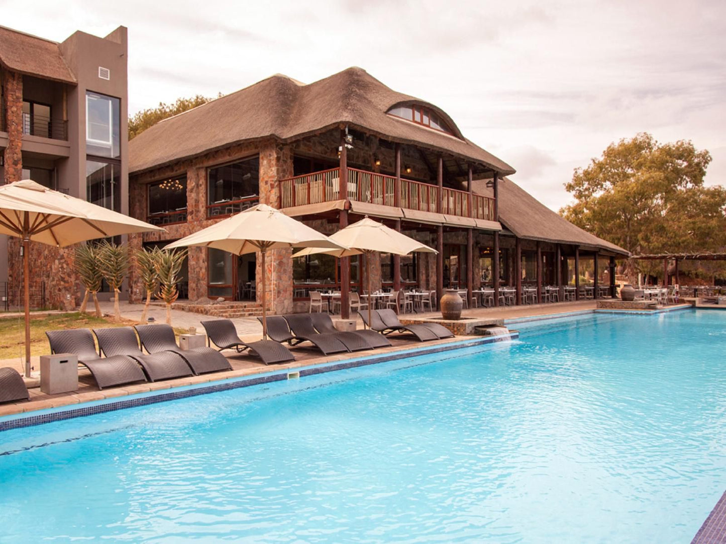 Aquila Private Game Reserve Touws River Western Cape South Africa Complementary Colors, Swimming Pool