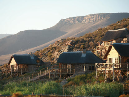 Aquila Private Game Reserve Touws River Western Cape South Africa 