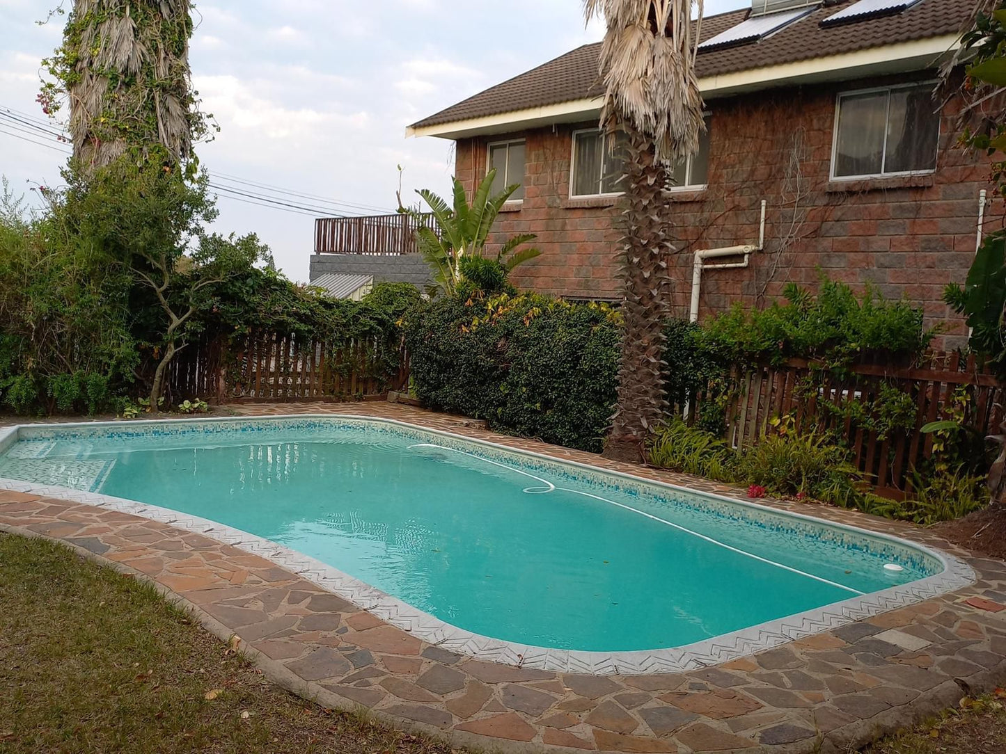 Arbour Lodge Guest House Beacon Bay East London Eastern Cape South Africa Garden, Nature, Plant, Swimming Pool