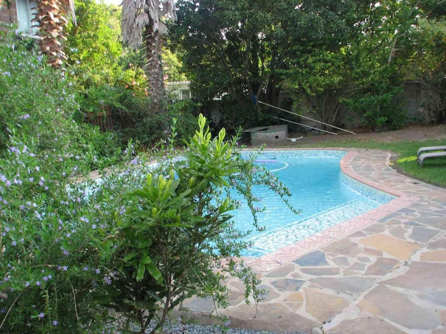 Arbour Lodge Guest House Beacon Bay East London Eastern Cape South Africa Garden, Nature, Plant, Swimming Pool