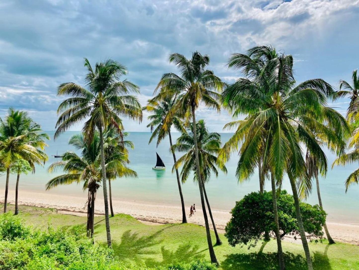 Archipelago Resort, Beach, Nature, Sand, Island, Palm Tree, Plant, Wood