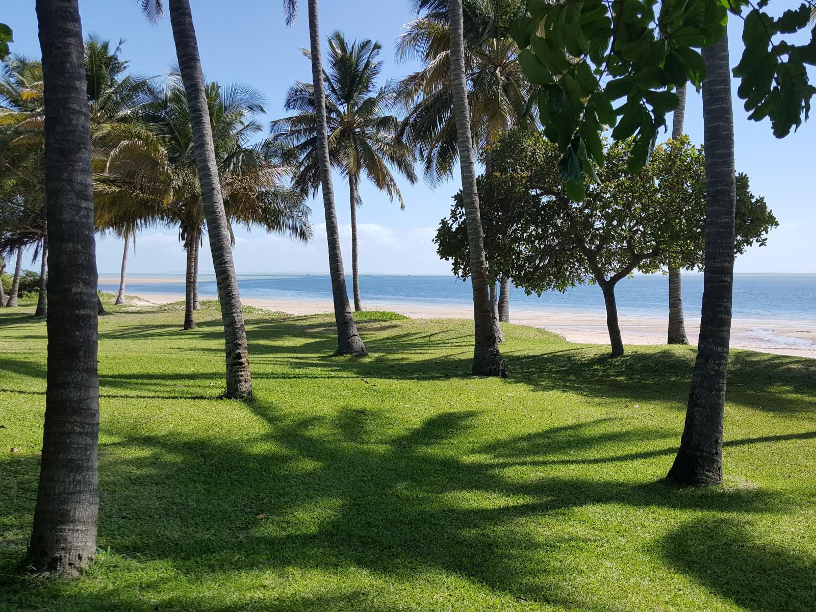 Archipelago Resort, Beach, Nature, Sand, Island, Palm Tree, Plant, Wood