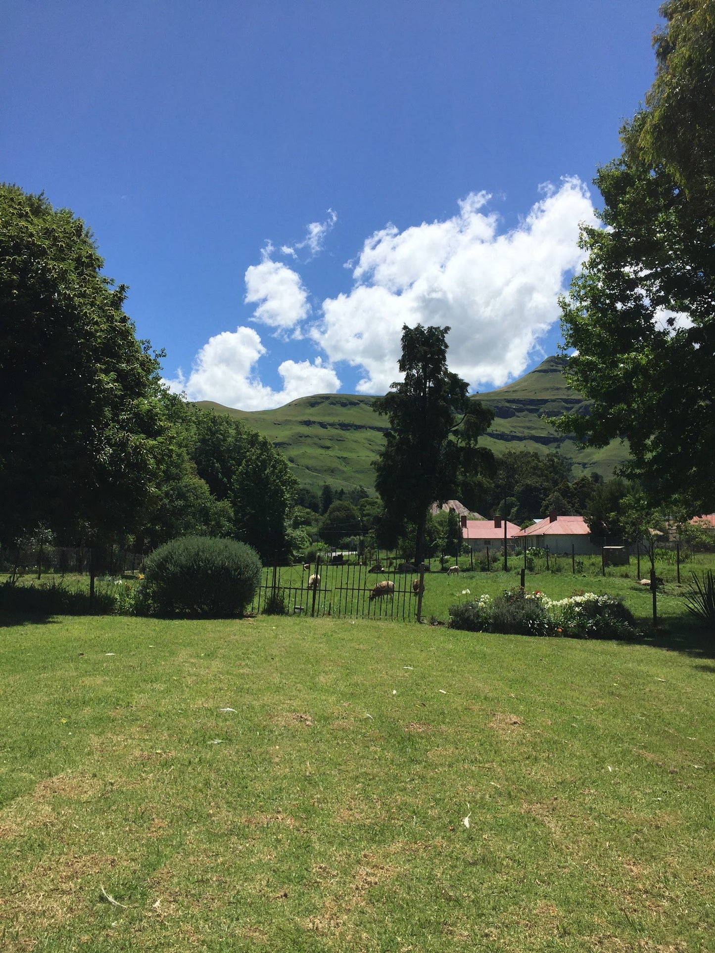 Ard Lui Bandb Bulwer Kwazulu Natal South Africa Complementary Colors, Mountain, Nature, Highland