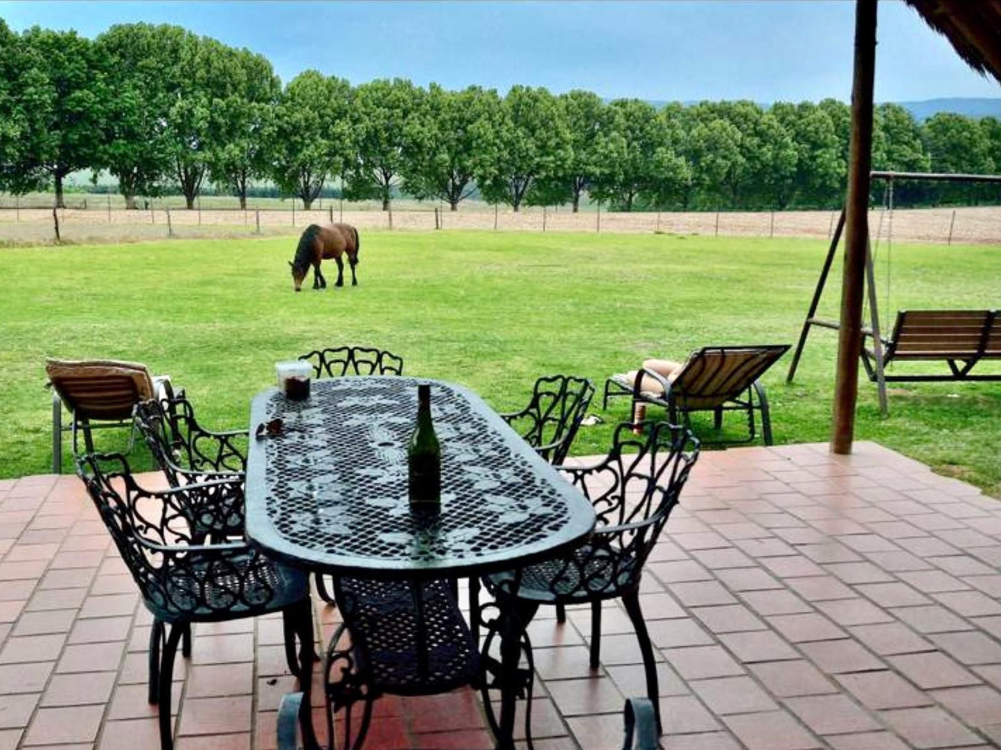 Ardmore Guest Farm Bergview Kwazulu Natal South Africa Horse, Mammal, Animal, Herbivore