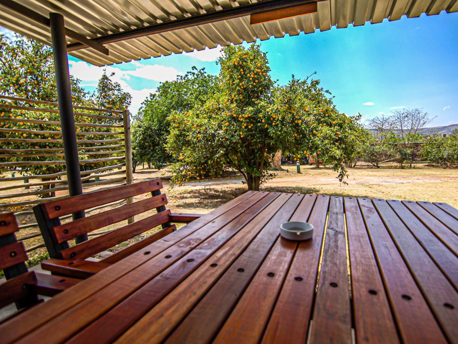 Ardmore Guest Farm Bergview Kwazulu Natal South Africa 