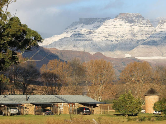 Ardmore Guest Farm Bergview Kwazulu Natal South Africa Mountain, Nature, Highland