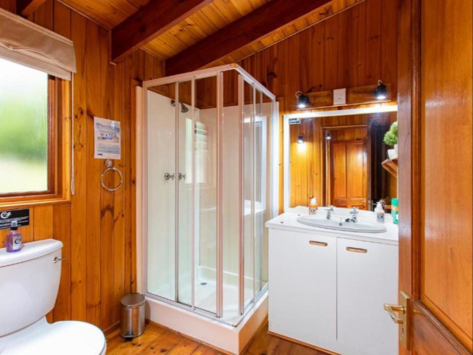 Arendsrus Country Lodge George Western Cape South Africa Sauna, Wood