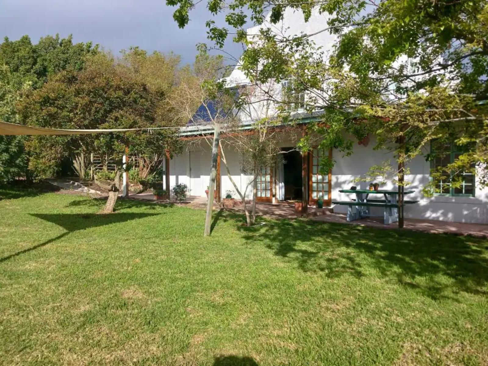 Arkelshoek Cottages, House, Building, Architecture, Palm Tree, Plant, Nature, Wood