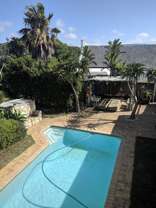 Arniston Lodge Arniston Western Cape South Africa Palm Tree, Plant, Nature, Wood, Swimming Pool