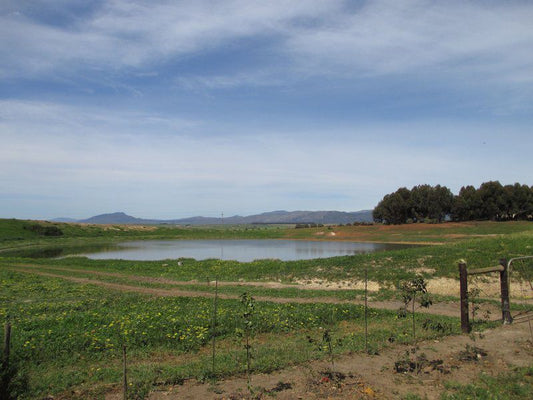 Arolela Guest Farm Caledon Western Cape South Africa Complementary Colors, Field, Nature, Agriculture, Lake, Waters