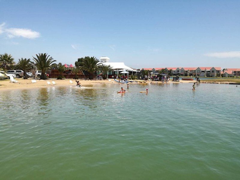 Waterside Living Aruba Breeze 12 Marina Martinique Jeffreys Bay Eastern Cape South Africa Beach, Nature, Sand, Palm Tree, Plant, Wood, Swimming Pool