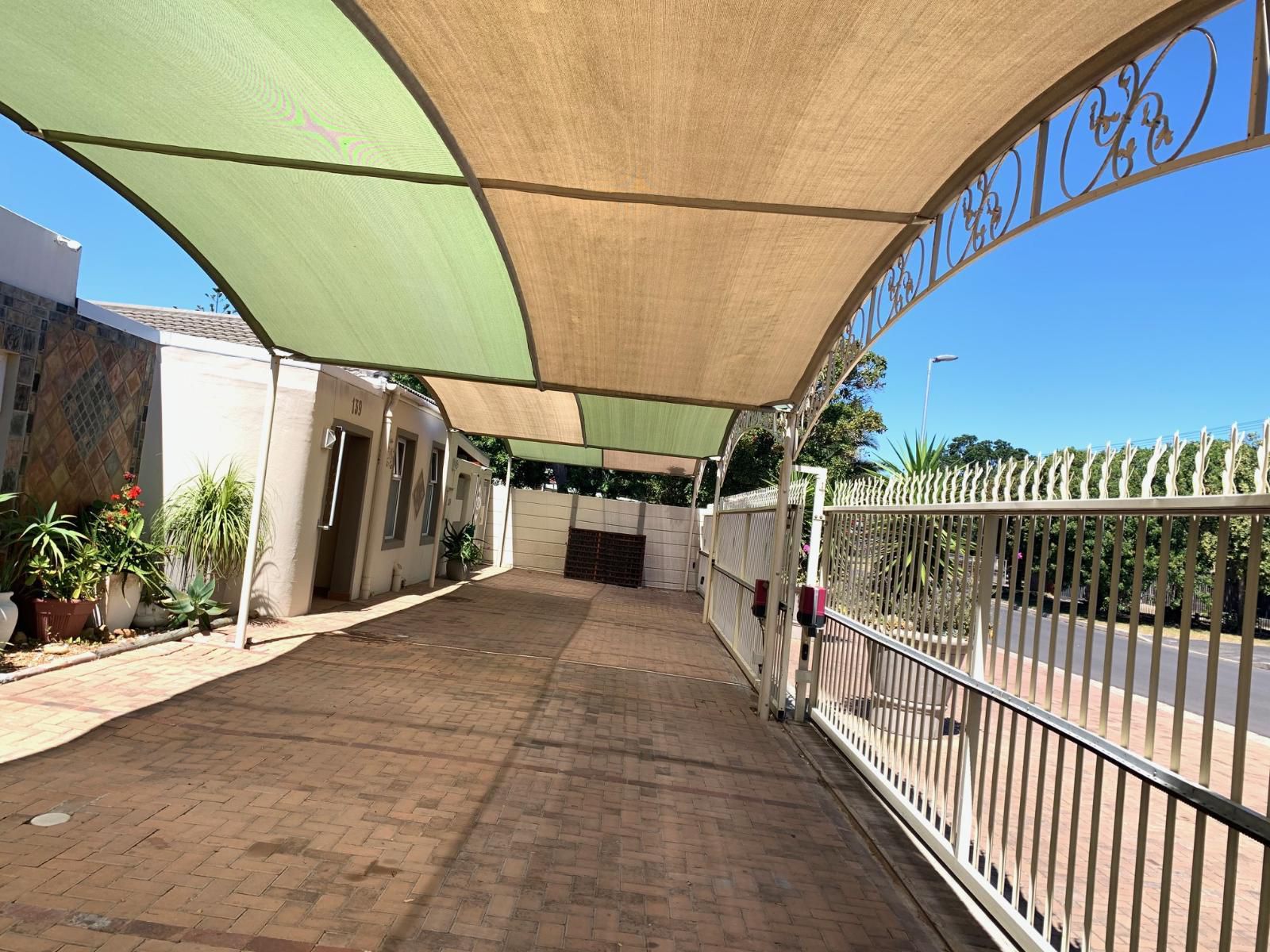 Arum Field Accommodation Table View Blouberg Western Cape South Africa Palm Tree, Plant, Nature, Wood