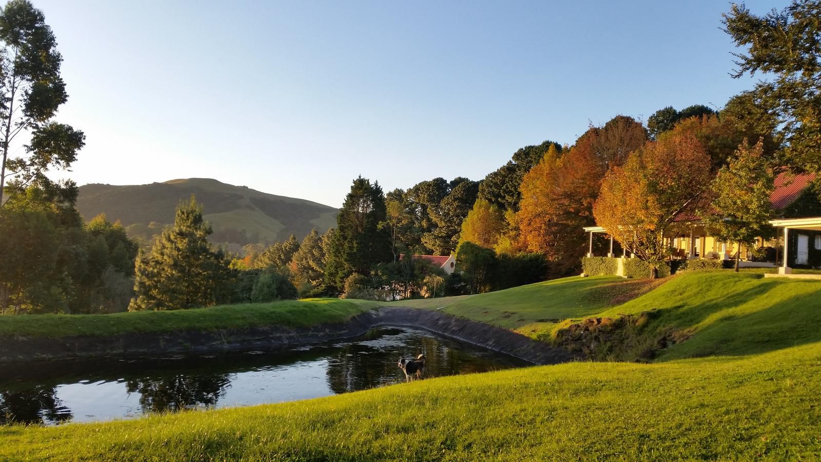 Arum Hill Lodge Balgowan Kwazulu Natal South Africa Complementary Colors, Autumn, Nature, Golfing, Ball Game, Sport