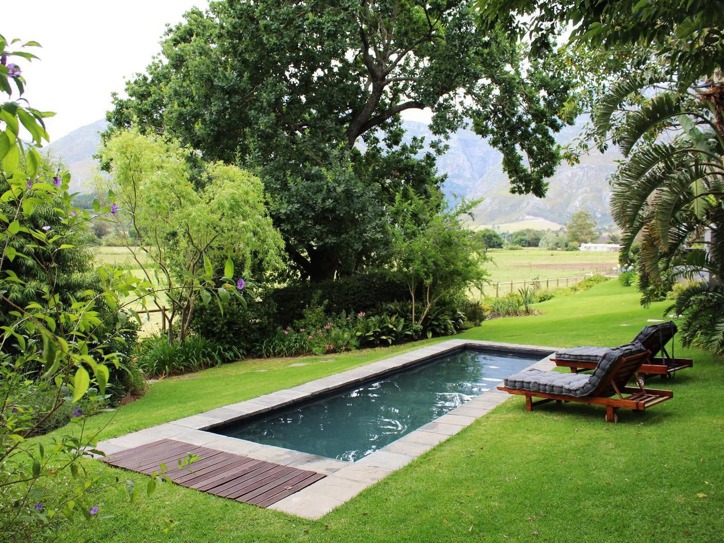 Arumvale Swellendam Western Cape South Africa House, Building, Architecture, Garden, Nature, Plant, Swimming Pool