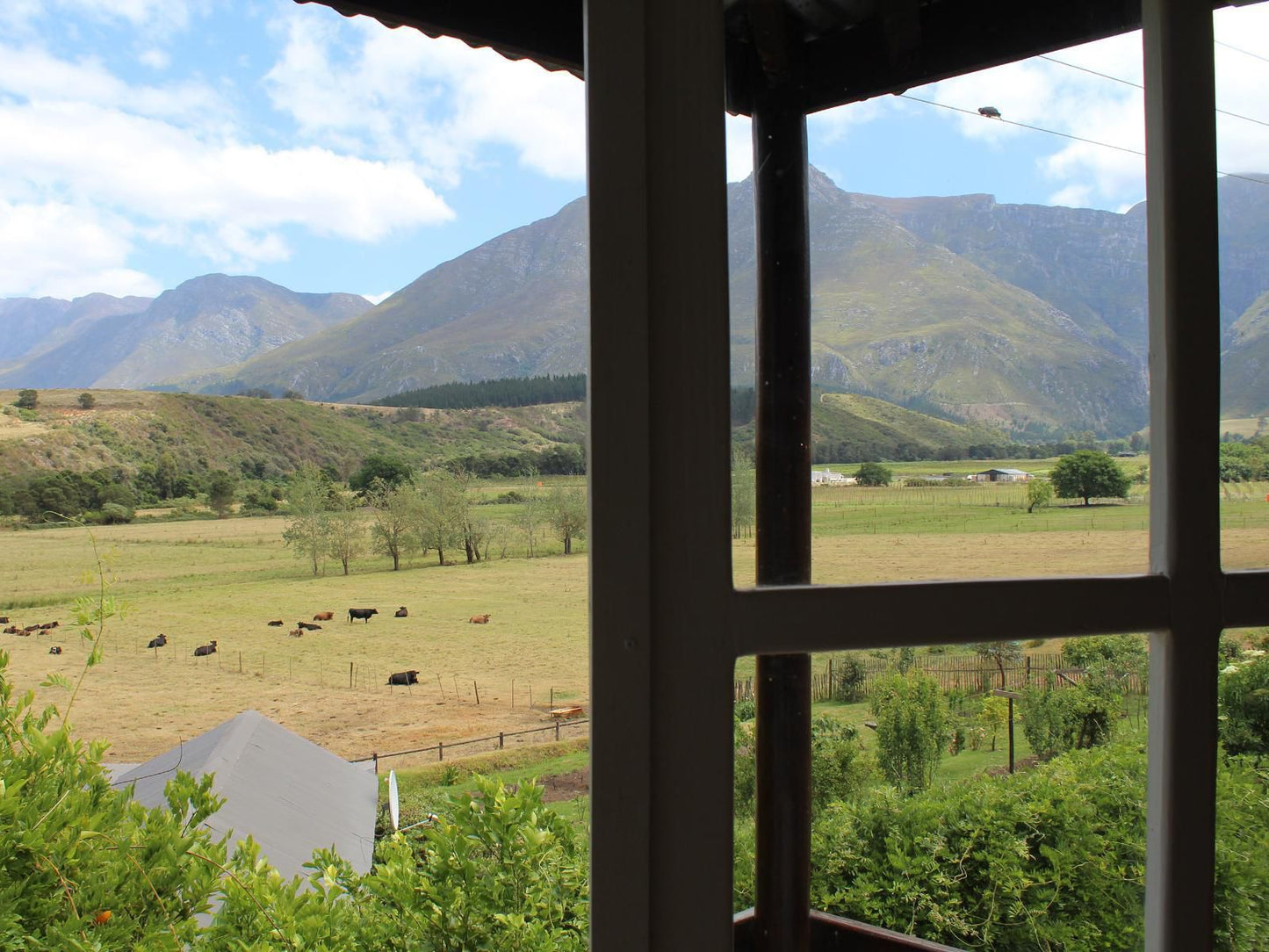 Arumvale Swellendam Western Cape South Africa Mountain, Nature, Highland