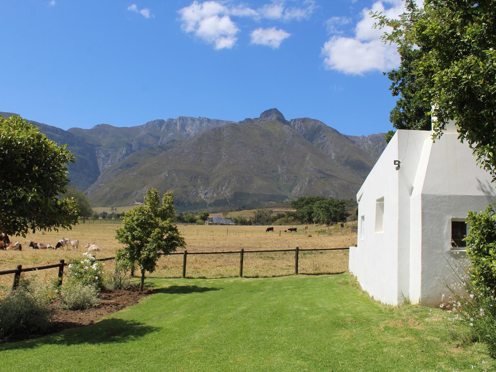 Arumvale Swellendam Western Cape South Africa Complementary Colors, Mountain, Nature, Highland