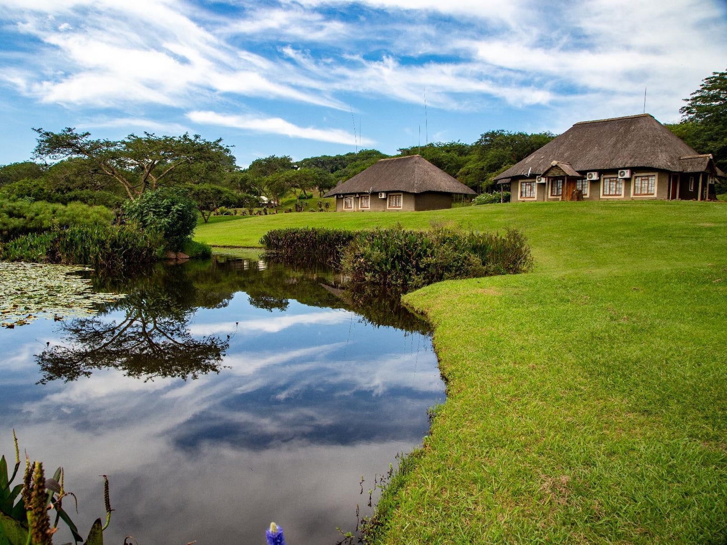 Ascot Bush Lodge Wensleydale Pietermaritzburg Kwazulu Natal South Africa Complementary Colors, Island, Nature